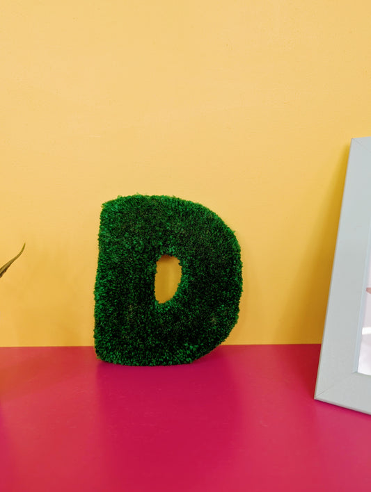 Soft tufted green letter D with metal hook for easy hanging